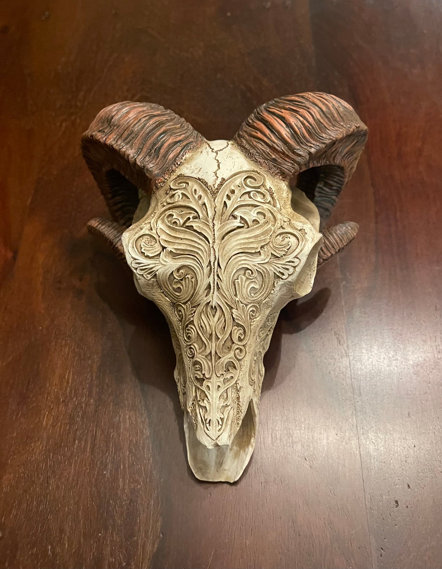 SCRIMSHAW RAM'S SKULL Shrine of Hollywood Treasures and Relics