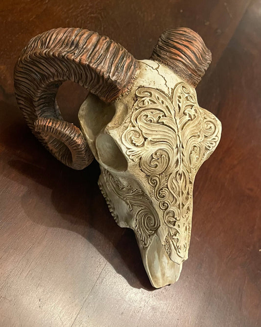 SCRIMSHAW RAM'S SKULL Shrine of Hollywood Treasures and Relics