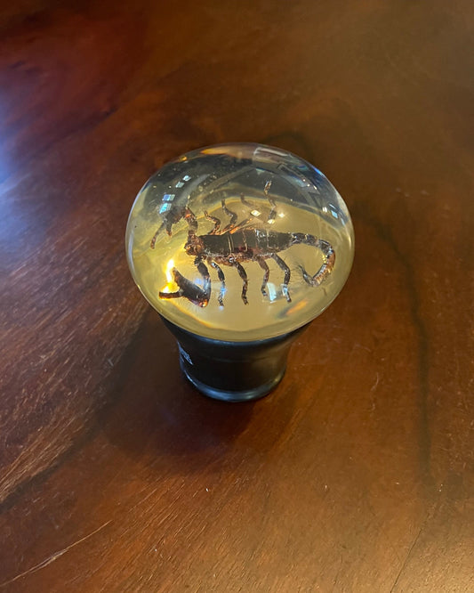SCORPION GEAR SHIFT KNOB Shrine of Hollywood Treasures and Relics
