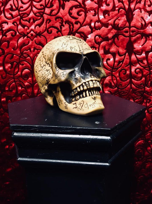 OMEGA SKULL Shrine of Hollywood art Treasures and Relics