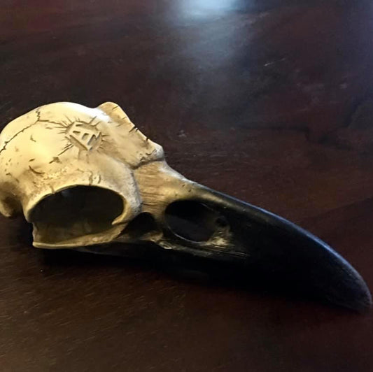 RAVEN'S SKULL DESK PIECE Shrine of Hollywood art art raven skull Treasures and Relics