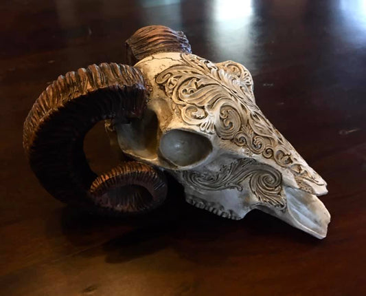 SCRIMSHAW RAM'S SKULL Shrine of Hollywood Treasures and Relics