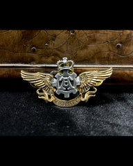 ALCHEMY STEAMPUNK WINGS PIN