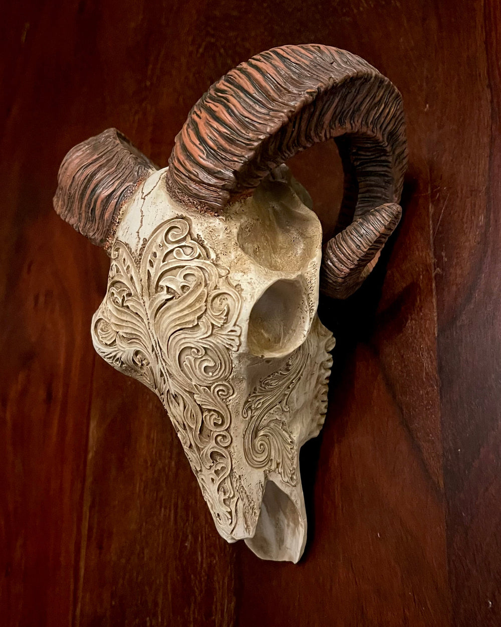 SCRIMSHAW RAM'S SKULL