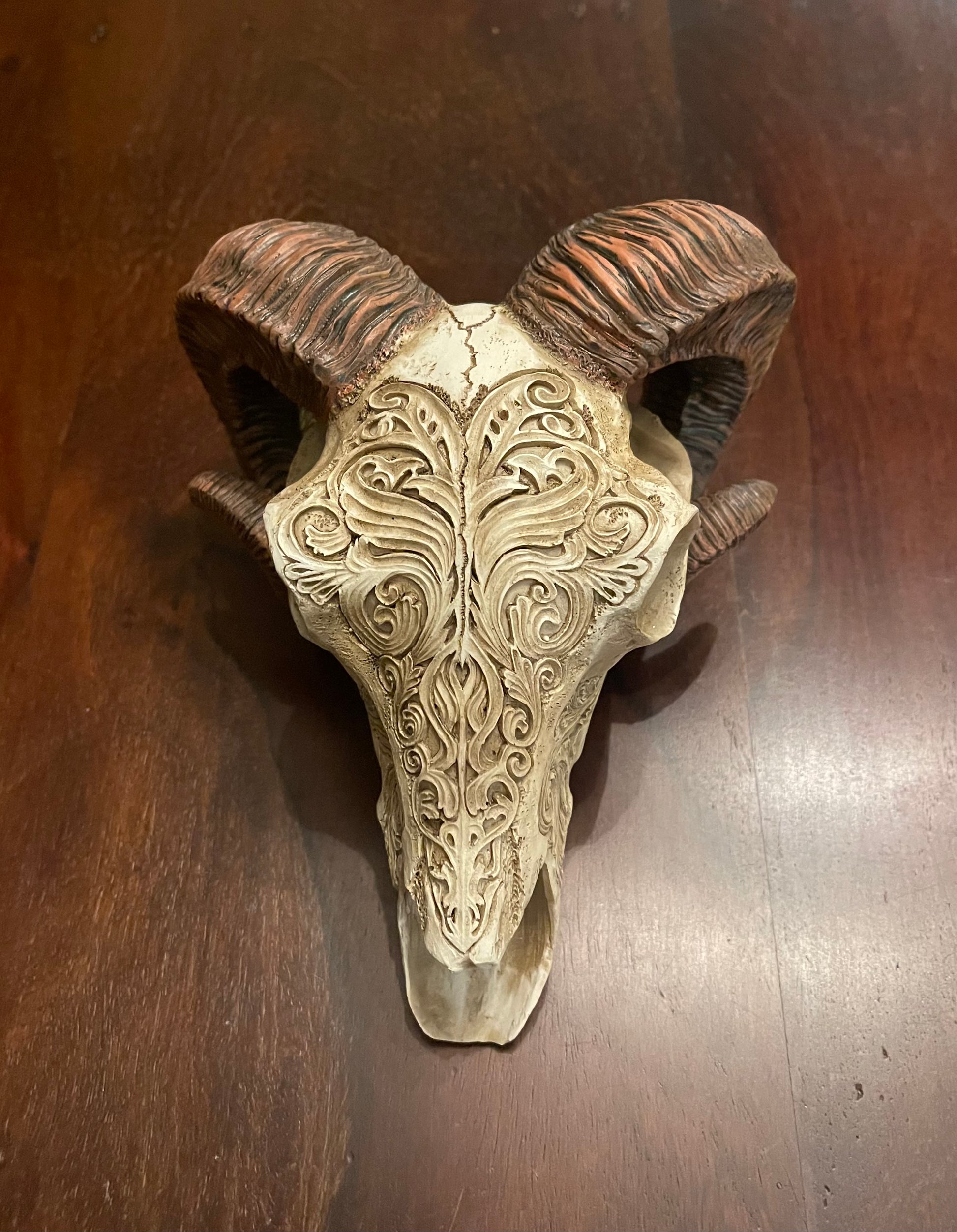 SCRIMSHAW RAM'S SKULL Shrine of Hollywood Treasures and Relics