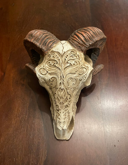 SCRIMSHAW RAM'S SKULL Shrine of Hollywood Treasures and Relics