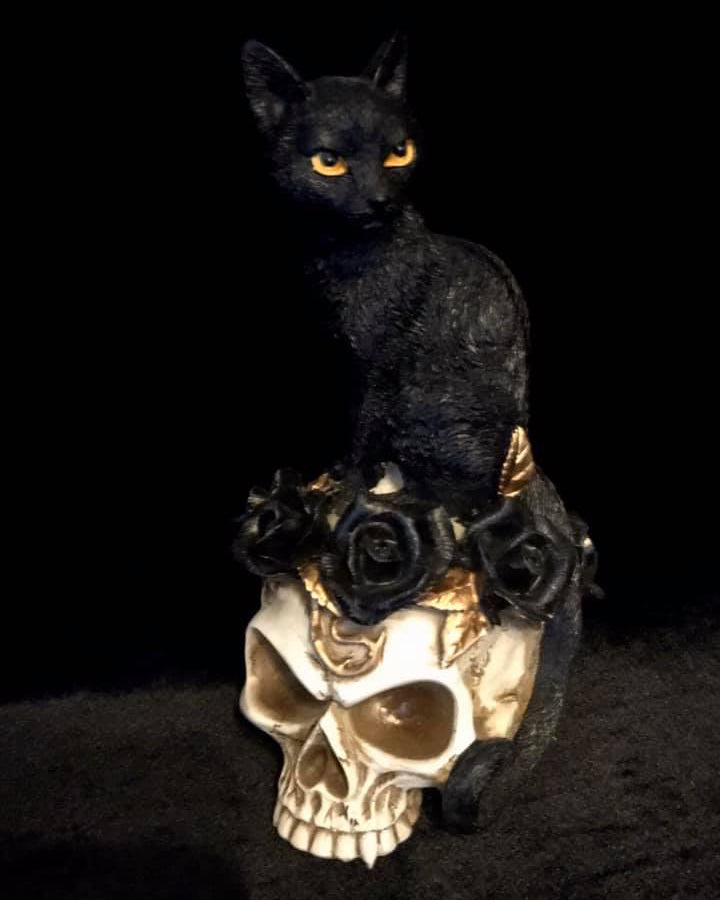 THE ALCHEMIST'S CAT