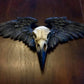 WINGED RAVEN SKULL WALL PLAQUE