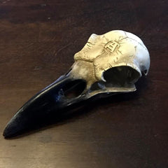 RAVEN'S SKULL DESK PIECE